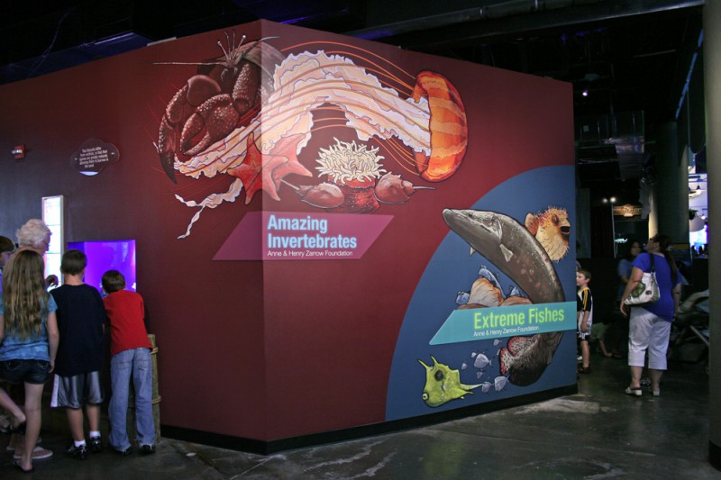 Aquarium Exhibits Mural