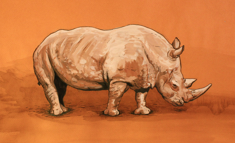 Rhino Gouache Painting