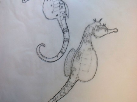Seahorse Illustration Progress